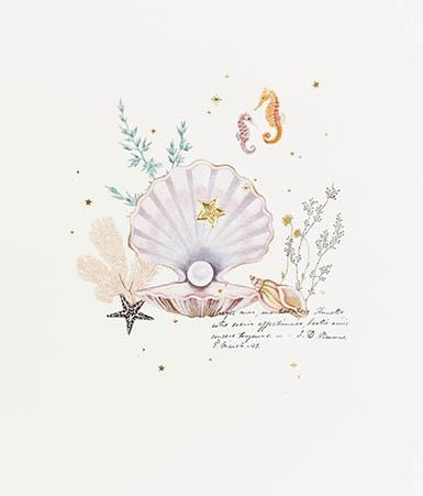 Seashell Blank Card Greeting Cards Paperlink