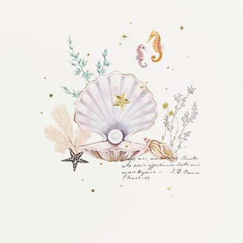 Seashell Blank Card Greeting Cards Paperlink