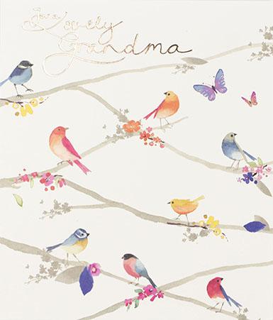 Lovely Grandma Birthday Greeting Card Greeting Cards Paperlink