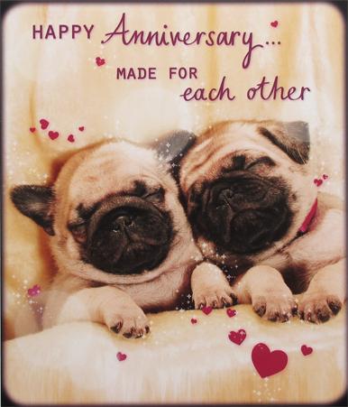 Happy Anniversary Pug Card by Paperlink Greeting Cards Paperlink