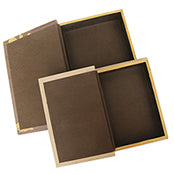 Disaster Designs Book Club Box Set - ash-dove