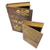 Disaster Designs Book Club Box Set - ash-dove