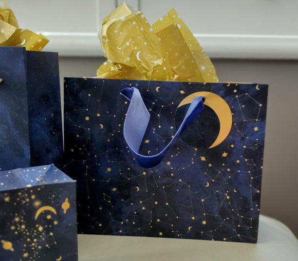 Blue Gift Bag with Gold Stars Tissue Paper –