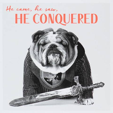 He Came, He Saw Birthday Card by Paperlink - ash-dove