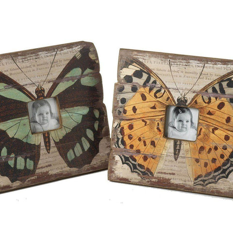 Large butterfly frame photo mix by Heaven Sends - ash-dove