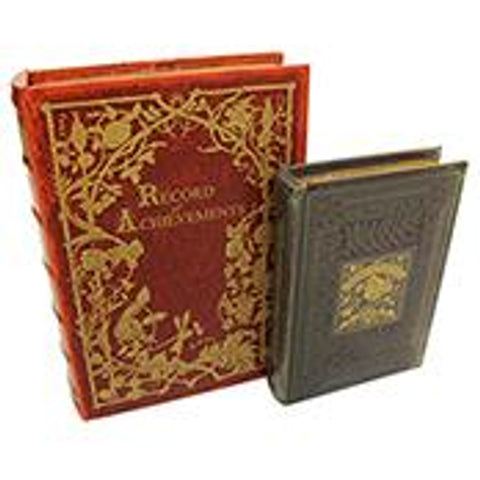 Disaster Designs Apothecary Box Set - ash-dove