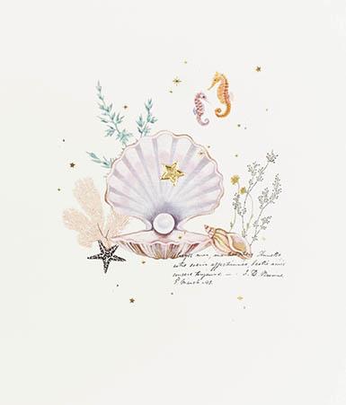 Seashell Blank Card Greeting Cards Paperlink 