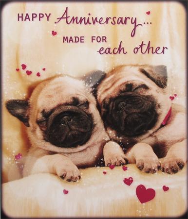 Happy Anniversary Pug Card by Paperlink Greeting Cards Paperlink 