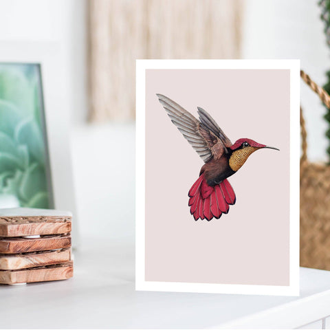 Humming Bird Greeting Card Greeting Cards The Artfile 