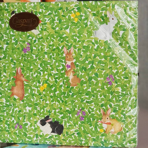 Cute Rabbits Paper Napkin Set of 20, Rabbit Table Decoration For Family Lunch, Caspari Boxwood Bunnies Napkin Set, Pets Fun Party Supply someone_else 