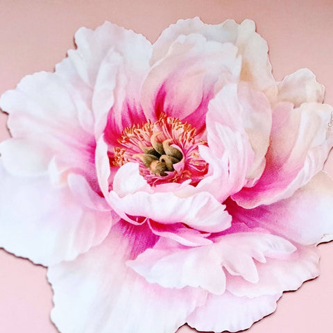 Stunning Peony Place Mat Set x 4 , Outdoor Dining Die Cut Large Place Mats, Wipe Clean Elegant Table Decor For Summer, Caspari Placemats UK someone_else 